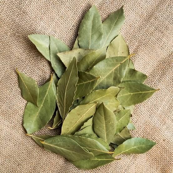 Premium Indian Dried Bay Leaves (Tej Patta) | Hand Sorted & Selected Grades | 5–10cm & 10–15cm Export Quality - Image 1